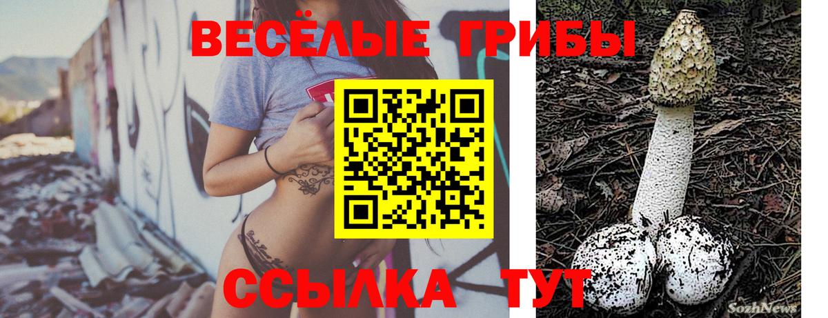 Ковров  Псилоцибиновые грибы мицелий  Вход с VPN 