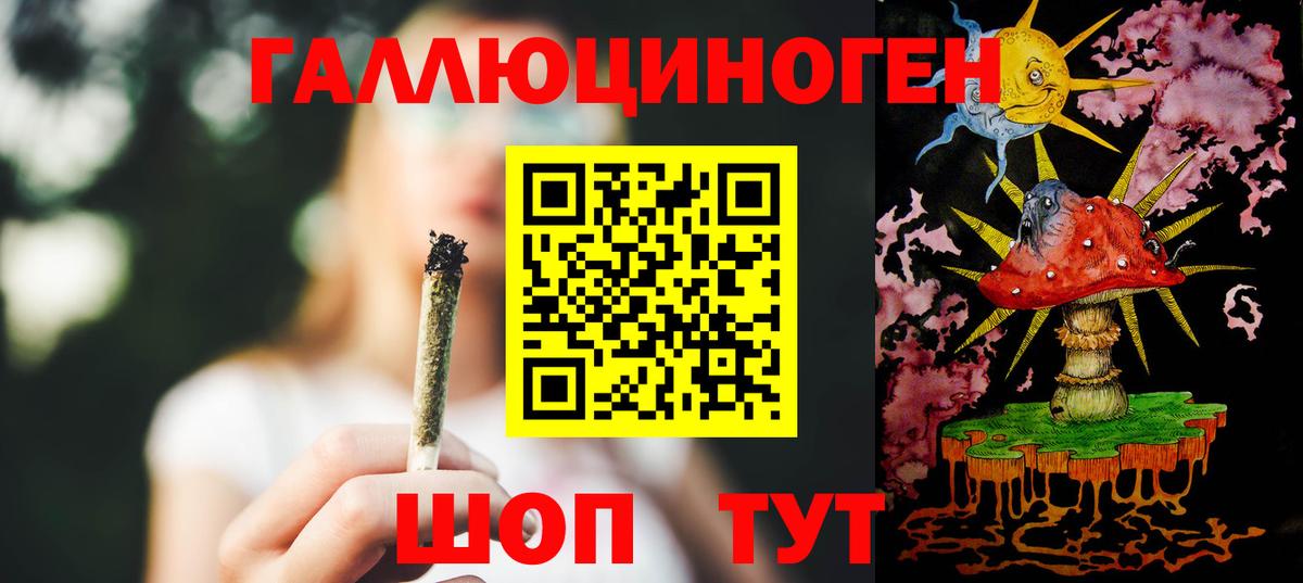 Псилоцибиновые грибы Psilocybe Ковров
