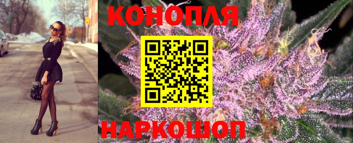 Бошки Шишки марихуана  Вход с VPN  Бошки Шишки тримм  Ковров  Шишки марихуана SATIVA & INDICA 